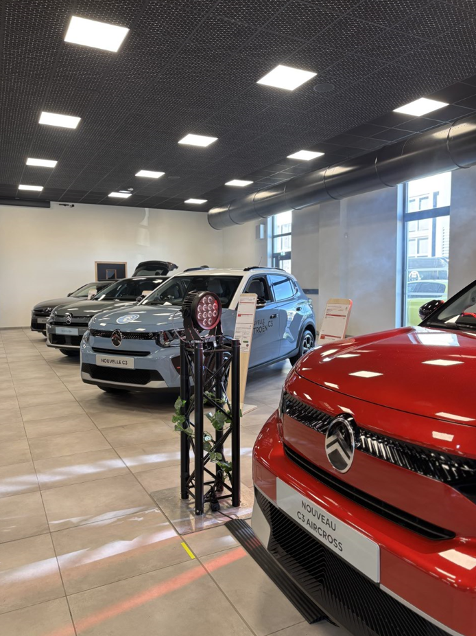 Photo d'une partie de la gamme Citroën 